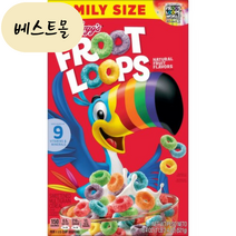 [해외] 켈로그 후르츠 룹스 후르츠링 시리얼 521g 베스트몰 미국직구, 1개