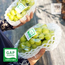 프레시데이 안성 고당도 샤인머스켓 망고포도 정품 4kg