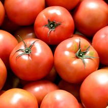 [농부마음] 전라도 새콤달콤 정품 완숙 찰 토마토 5kg 10kg 찰토마토, 1box, 10kg 4-5번과(소과)