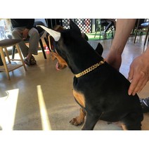 강아지금목걸이 도베르만 프렌치불독 대형견 금 목걸이, 둥근오링