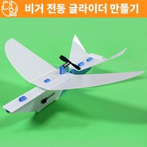 자체브랜드 비거 전동 글라이더(AAM3구 충전기 포함)