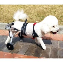 강아지 휠체어 보행기 애견의족 슬개골보호대, XS 웰시코기 프렌치불독