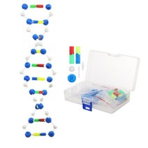 자기복제 과학실습 나선구조 DNA 모형 조립 교육기관 홈스쿨 학교 사이언스 호기심