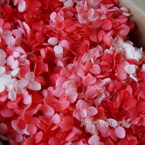 종이꽃 보존 된 수국 안나 작은 잎 장식 사무실 DIY 꽃 웨딩 장식129402, Gradient colour 81, 20g