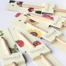 꿈쟁이 씨앗연필 1p 식물기르기 5종, 1개