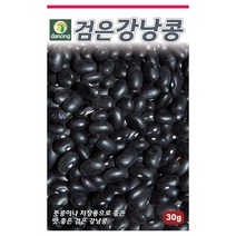 콩 옥수수 씨앗 강낭콩 작두콩 서리태 호랑이콩 종자 백태 땅콩 율무 녹두 팥 완두콩 씨, 29. 검은강낭콩 30g