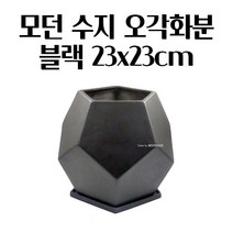 오각 미니 화분 블랙 23X23CM 선인장 화초 꽃 예쁜 알뜰한 실내식물 특이한화분