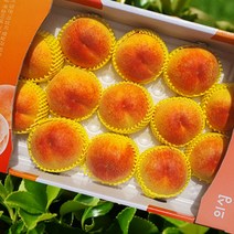 딱복숭아 백도 털복숭아 백도말랑이, 황도 중과 4kg(13 ~16과)