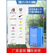 농약분무기 충전식분무기 농약살포기 전동분무기 충전식, 1. 높은 구성 20L - 리튬 배터리 10A 모델 -