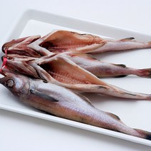 반건조 명태 손질 코다리 대사이즈 40-49cm 5미