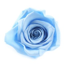 프리저브드 플라워 장미 하늘색 10송이