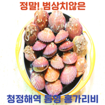 청정해역 통영 홍가리비3kg 세척 홍가리비특대 홍가리비살 홍 가리비2kg 비단가리비, 3kg