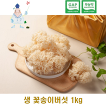 생꽃송이버섯 청정농장재배 국내산 최상급 친환경 무농약 1kg, 부직포 선물포장, 1개
