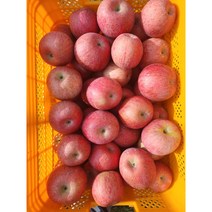 사과 꿀사과 가을햇사과부사 봉화사과 맛있는사과 10kg 직접농사짓고 당일발송합니다, 사과 10kg 52과