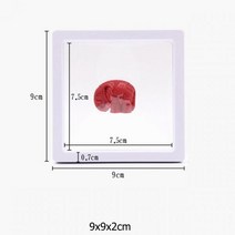 투명 필름 보석 포장 상자 매달린 반지 귀걸이 디스플레이 스탠드 홀더 동전 수집 보관 애완동물 멤브레인 케이스, White 9x9x2cm