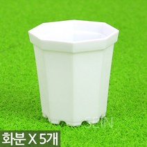 미니 플라스틱 화분 블랙 X 5개 - 어린이집 유치원 플라스틱 어린이 식목일 행사 플분 다육 선인장 식물 모종 삽목 인테리어 홈 가드닝 다육이화분