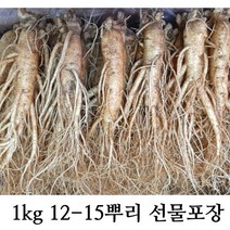 햇 수삼 인삼 1kg 대사이즈 5년근 12-15뿌리 뿌리 (믹서용 홍삼용 실속인삼), 1kg  11-13뿌리, 선물포장(x)