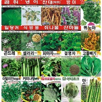 각종 민속 채소 특수 씨앗 모음 도라지 더덕 냉이 산마늘 고수 곰취 나물 약초 씨 종자 모음, 우엉