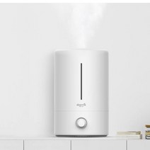 디어마 가정용 일반가습기 화이트 5L, F628