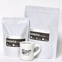 테이크아웃로스팅 코스타리카 따라주 (분쇄선택)200g 500g 뉴크롭 스페셜 원두, 분쇄안함(홀빈)