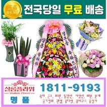 칼란코에꽃화분 결혼화환 결혼식화환 근조화 근조화환 꽃바구니배달 꽃배달가격 꽃배달당일배송 꽃배달추천 전시축하화환 칼란코에배달 꽃화분칼란코에 꽃화분배달 배달칼란코에 배달꽃화분, 2.근조3단