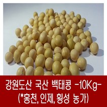 [다온농산] 2022년산 강원도산 햇 백태 메주콩 흰콩 -10Kg- 홍천군/인제군/횡성군 농가, 10kg, 1개