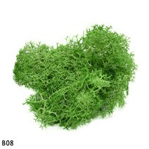 비바리움 이끼테라리움 액자 2040g 인공 식물 영원한 생명 이끼 diy 수지 꽃 소재 마이크로 풍경 액세서리 웨딩 정원 홈 장식 이끼, 20g, b08