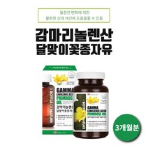 미국 직수입 여성 월경 전 호르몬 피부 콜레스테롤 개선 완화 달맞이 기름 1일 권장량 100% 감마리놀렌산 영양제, 1BOX(3개월분), 240mg