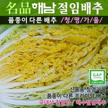 30년배추농사꾼 이성학 명품 해남절임배추 20kg (대장균걱정안심 GAP인증 국산천일염 해수절임배추 명품김장배추), 12월02일(금)도착