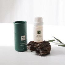 노마인드 피톤치드 편백오일 10ml, 2개