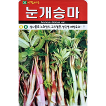 눈개승마씨앗 500립 눈개승마 삼나물 노화방지 효과, 상세페이지 참조