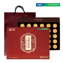 침향 공력환 홍삼 어르신 노인기력회복 기운없을때 첫인사 추석 명절선물, 60환