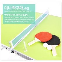 아이워너 접이식 미니탁구대 중형 이동식탁구대 실내 야외 캠핑, 접이식 미니탁구대 중형(120x76Cm)