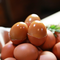 자연방목달걀 추천 순위 베스트 80