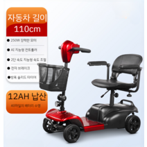 노인 스쿠터 4륜 접이식 전기 자동차 장애인 접이식 2인 오토바이, 2 12Ah 약40리 250W모터, 24V