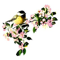 중식화구 중화렌지 3Ratels QC116 꽃 벽 스티커 침실을위한 가정 장식 중국 전통 회화 모란, 02 QC104_03 40cm(15.75 inch)