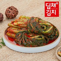 딤채식품 [딤채식품] 건강담은 갓김치 1kg, 1개