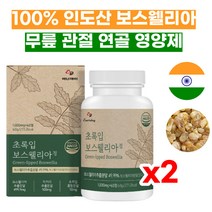 100% 인도 산 보스웰리아 무릎 관절 연골 영양제 2개월 뉴질랜드 초록 녹색 그린 입 잎 홍합 분말 히알루론산 피부 건강 보스웰릭산 햇섭인증 수용성 비타민 C 아스코르빈