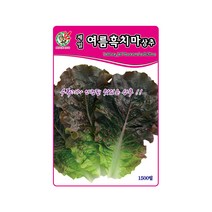 상추씨앗 제일여름흑치마상추 1500립 다수확 품종, 1개