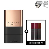 메가핏스틱파운데이션(글로우)+틴트(3종택1), 색상:1호(라이트베이지)+틴트(와인봉봉)+쇼핑백, 단품