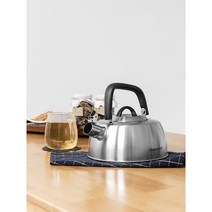 무광 소리나는 스텐 주전자 2L 인덕션OK 간편세척 각종차 생강차 물끓이기 우엉차 물주전자 넓은입구, 상세페이지참조