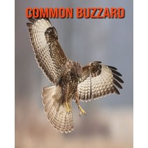 (영문도서) Common Buzzard: Beautiful Pictures & Interesting Facts Children Book About Common Buzzard Paperback, Independently Published, English, 9798508993900