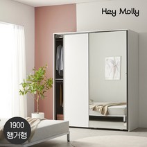 헤이몰리 페리 슬라이딩 옷장 1900 행거형 한쪽미러도어, A형_다크그레이