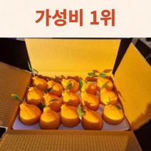 (가성비1위)제주 한라봉10kg 5kg 3kg 한라봉 산지직송 가정용 선물용, 한라봉 3KG/대과(13과내외)