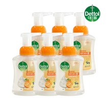 [데톨] 오렌지 포밍 항균 핸드워시 250g x6개 손세정제 핸드솝 거품비누, 상세 설명 참조, 상세 설명 참조