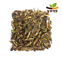 국산 괴각 회화나무 열매 300g, 1개