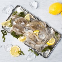 선주 단독계약 태안 활 주꾸미 1-5kg, 활 주꾸미 1kg 10-15미내외