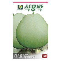 더존 복수박 씨앗 10립 - 수박씨 복수박씨 꿀수박 야채씨앗 채소씨앗 채소재배 종묘 종자 베란다 텃밭 씨 씨앗 오이 호박 방울토마토 참, 08_다농_식용박(10립)