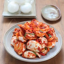 [미식관]해남 화원농협 양파(장)김치3kg, 양파김치3kg