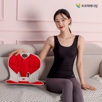 바른자세 지킴이 펠비신 체어 / 자세교정의자 좌식 보조의자 방석 등받이 슬림 체형, 그레이